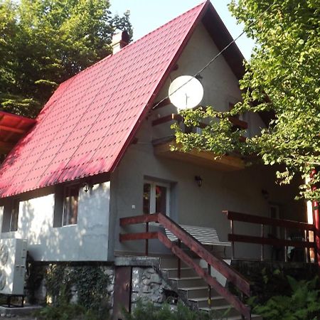 Ferienwohnung Casa De Oaspeti Boga Pietroasa  Exterior foto